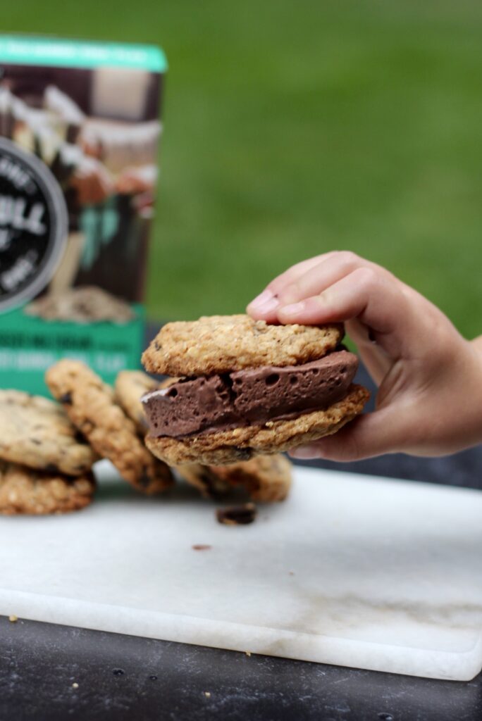 Homemade Ice Cream Sandwich